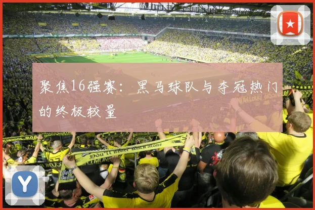 聚焦16强赛：黑马球队与夺冠热门的终极较量